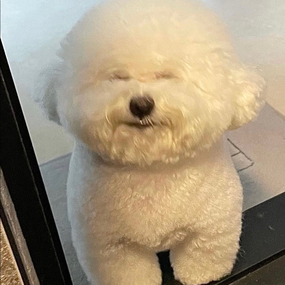 Meet your Posher, Brenda - Picture 1 of 1